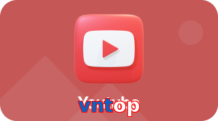 vntop