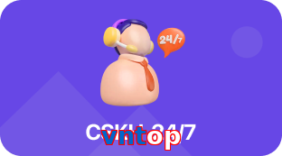vntop