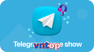 vntop