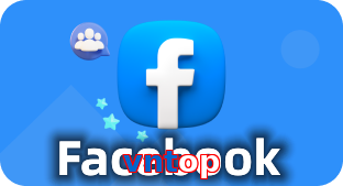 vntop