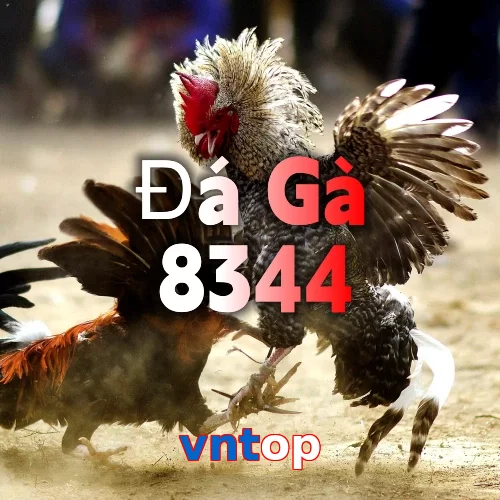 vntop