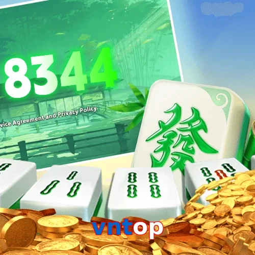 vntop