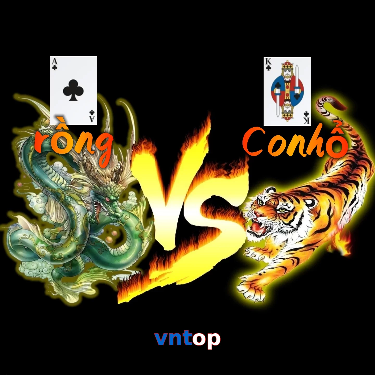 vntop
